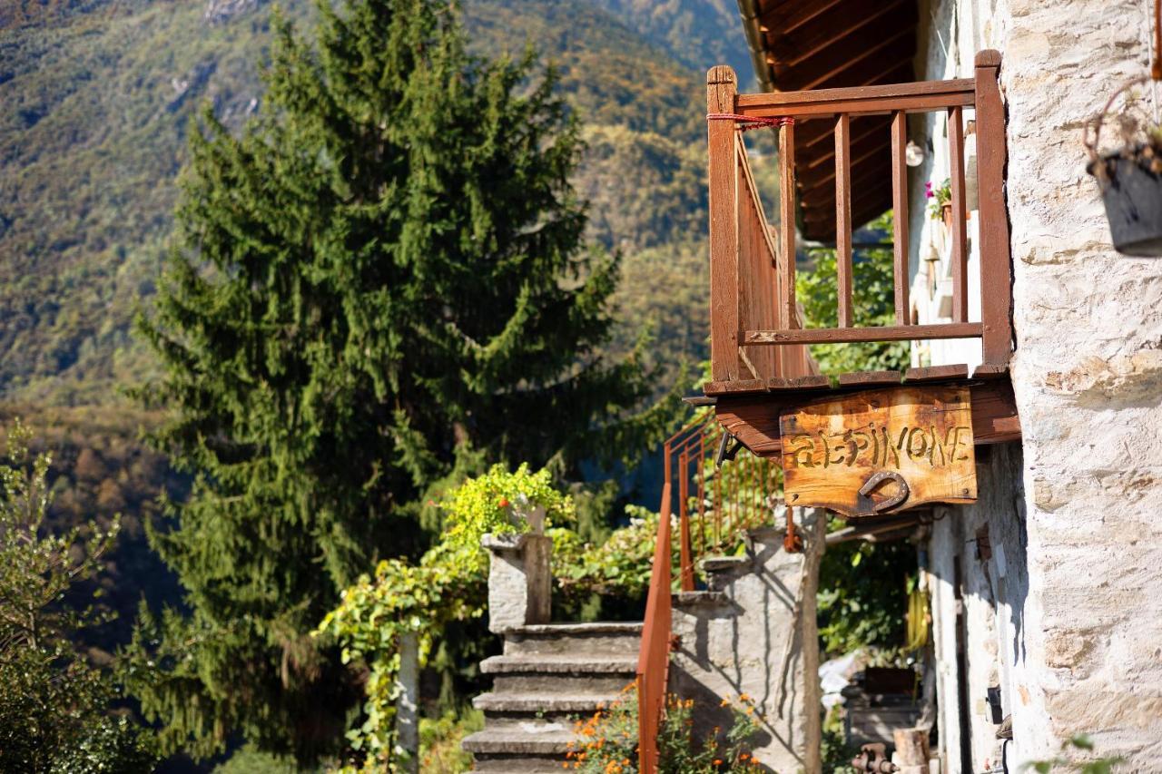 Villa Al Pinone Crevoladossola Exterior foto